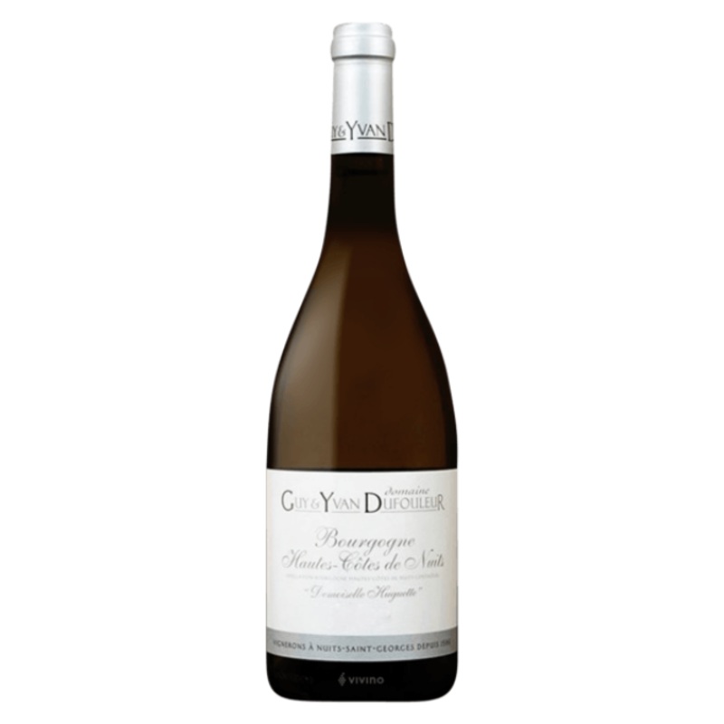 2019 Domaine Guy & Yvan Dufouleur Bourgogne Hautes-Cotes de Nuits 'Demoiselle Huguette' 750ml