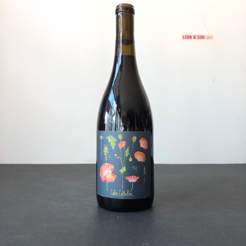 2022 The Color Collector Bjornson Gamay, Willamette Valley, Oregon