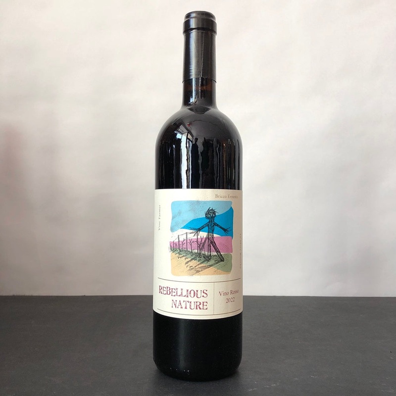 2022 Bricco Ernesto Rebellious Nature Rosso Piedmont, Italy