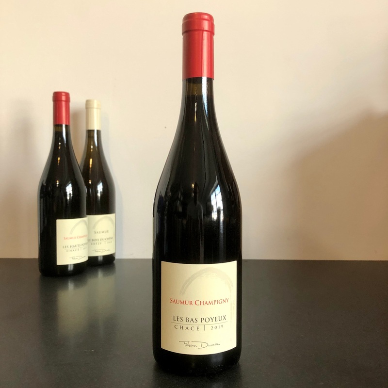 2019 Fabien Duveau Saumur-Champigny Chace Les Bas Poyeux