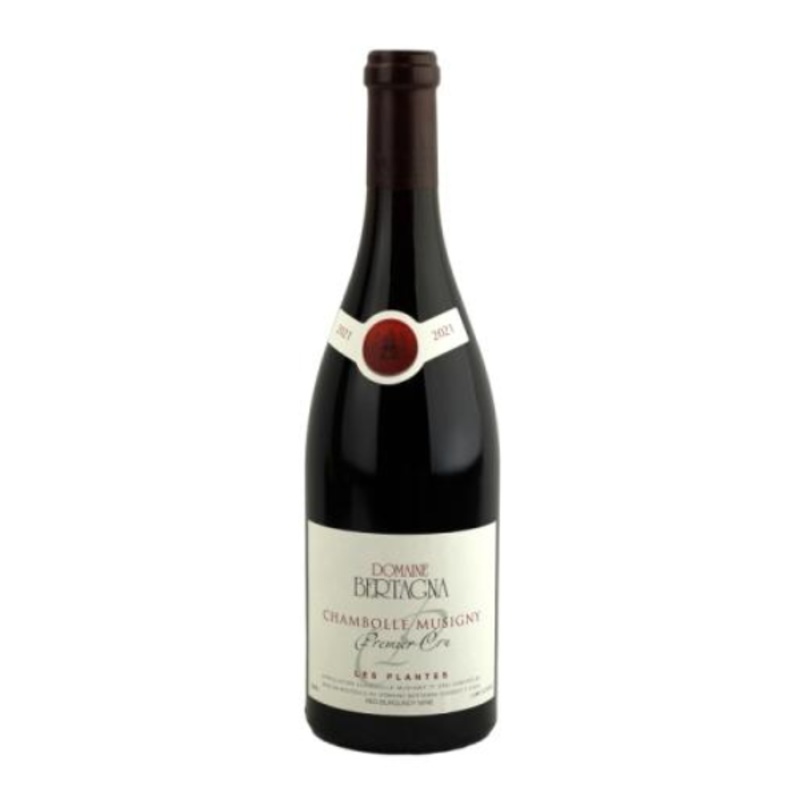 Michel Sarrazin Bourgogne Pinot Noir les Vieilles Vignes 2023 750ml