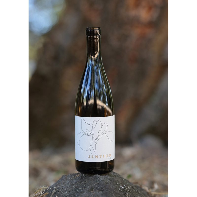 Sentium Sauvignon Blanc by Continuum 2023 750ml