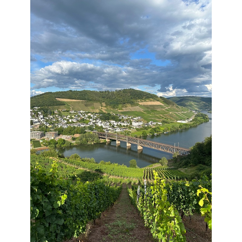 Leon & Son x Vom Boden Tasting: New Germany