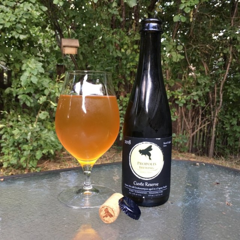 Propolis Cuvee Reserve Saison Cognac Barrel Aged 2018 375ml