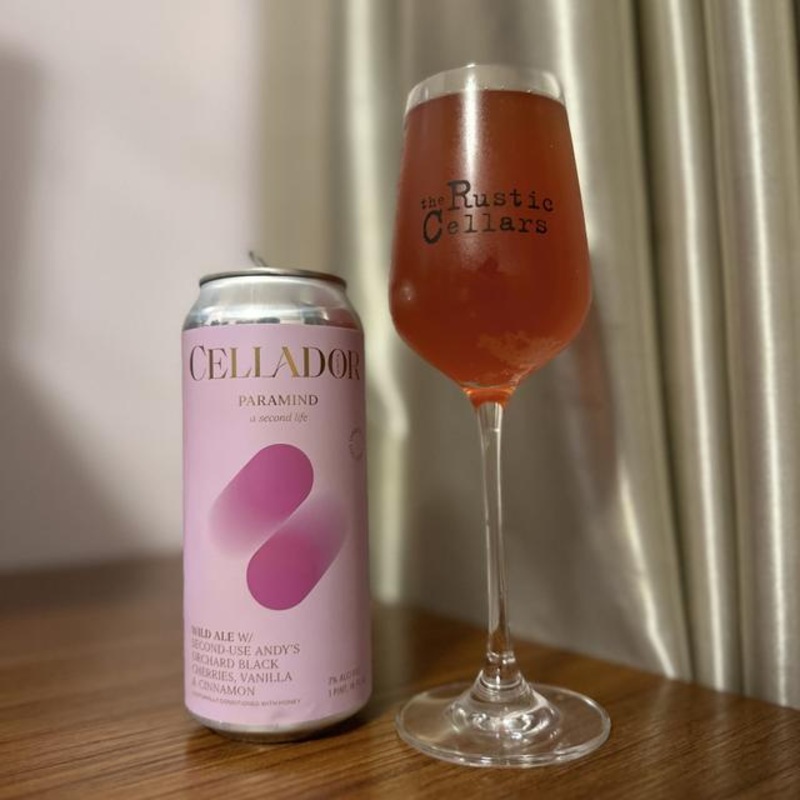 Cellador Paramid Wild Ale 16oz 4pk Cans