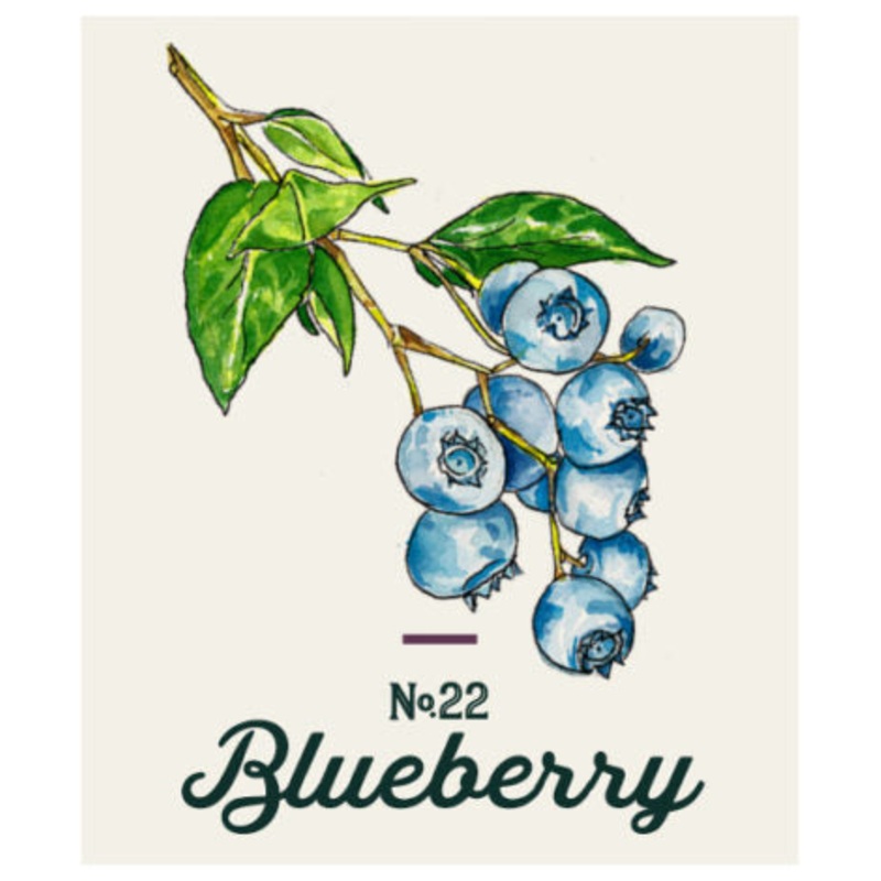 Blended Family No. 22 Blueberry Liqueur 750 ML